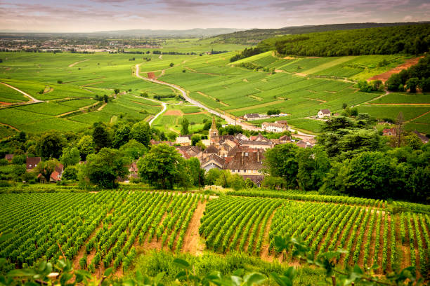Bourgogne-Franche-Comté
