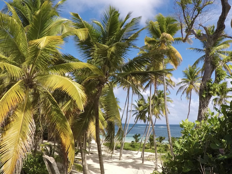 Martinique