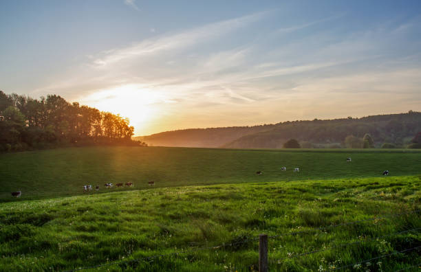 Normandie