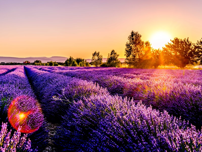 Provence-Alpes-Côte d'Azur